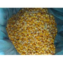 IQF frozen sweet corn kernels